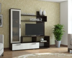 Гостиная Норма-2